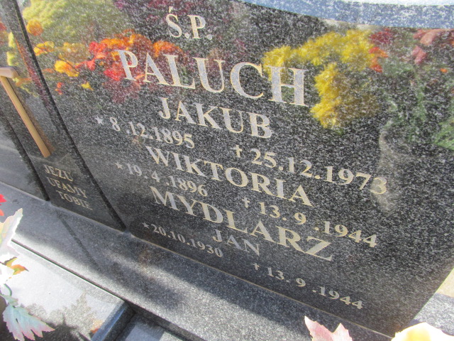 Jakub Paluch 1895 Oświęcim Gmina - Grobonet - Wyszukiwarka osób pochowanych